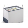 VITRINE À CREME GLACÉE 10X5 LTR