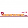 Rôtissoire gaz 6 broches (36 poulets) made in espagna