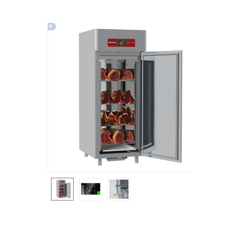 Armoire de maturation dry aging pour viande 850 Lit. ventilée, 1 porte, 20xGN 2/1